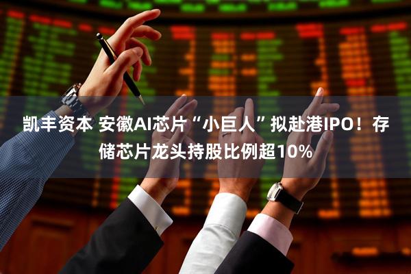 凯丰资本 安徽AI芯片“小巨人”拟赴港IPO！存储芯片龙头持股比例超10%