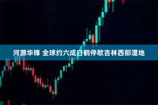 河源华锋 全球约六成白鹤停歇吉林西部湿地
